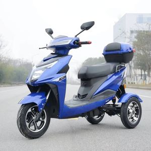 Triciclo de Acero de 3 Ruedas para 2 Pasajeros, Certificado por EEC y DOT, con 1000W de Potencia para Uso Diario, Motocicleta Scooter de Carrocería Abierta, Gasolina, Marca ZHANSHEN - Product Image 6