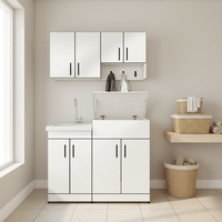 Meuble de salle de bain moderne italien écologique, mural, en acier inoxydable, avec évier pour machine à laver, étanche, pour hôtel et villa