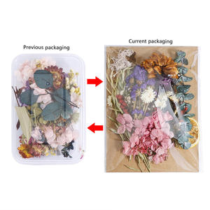 แม่พิมพ์เรซินดอกไม้แห้งดอกไม้อัดสำหรับตกแต่งบ้านอุปกรณ์งานฝีมือหัตถกรรมเรซิน - Product Image 2