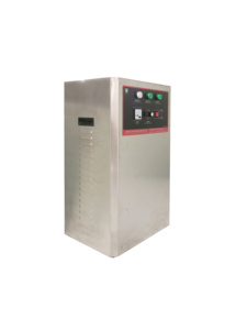 10G-60G Air Source Ozone <strong>Water</strong> <strong>Generator</strong> with Motor | 304 Stainless Steel 1000L/H 220V for Industrial &amp; Farm <strong>Water</strong> Treatment - Product Image 2