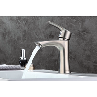 Robinet de lavabo personnalisé OEM en acier plastique brossé à cartouche en cuivre froid simple levier de levage hôtel appartement