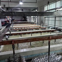 Équipement d'anodisation automatique industrielle en aluminium de conception usine, type support à rail, contrôlé par PLC, technologie de placage par ultrasons