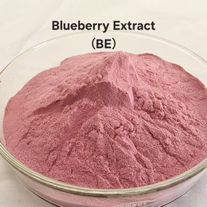 100% натуральный органический экстракт черники в порошке: антиоксидант, поддержка иммунитета и здоровья кишечника, отличный вкус для напитков для взрослых, возможность индивидуального заказа - Product Image 2