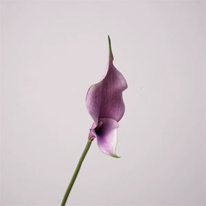 C-015 Calla artificielle <span class=keywords><strong>de</strong></span> haute qualité au toucher réel pour mariage, fête des mères, décoration exquise pour bouquets <span class=keywords><strong>de</strong></span> <span class=keywords><strong>mariée</strong></span> - Product Image 4