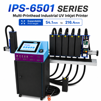 Imprimante jet d'encre UV industrielle grand format série IPS-6501 |   Système de codage de données variables à têtes d'impression multiples pour sacs en plastique et papier
