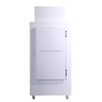 COLDSTAR ICE-300 Congélateur d'extérieur Spacieux Bac de stockage de glace Contrôle numérique Ventilateur de refroidissement pour usage commercial Cafs