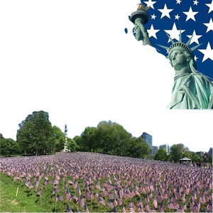 Banderas de Poliéster de Alta Calidad con Tamaño Personalizado, Banderas Estadounidenses para el 4 de Julio, Decoraciones Promocionales y Publicitarias, Banderas Americanas de Mano de 8x12 Pulgadas con Palo - Product Image 5