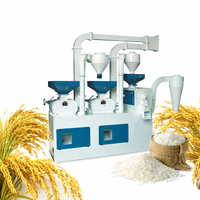 Équipement de décorticage du riz : Machine combinée double décortiqueuse pour le décorticage, le blanchiment et le polissage du paddy