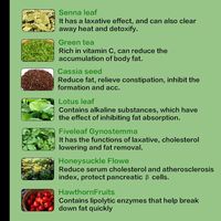 Thé Détox Naturel aux Herbes Brûle-Graisse pour le Ventre – 28 Sachets – Amincissant, Nettoyant, Soutien Digestif, Gestion du Poids, Ventre Plat, Herbal