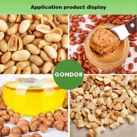 Décorticateur industriel d'arachide pour enlever les coques d'arachide Décortiqueur Deshell Shell Machine au Kenya Prix