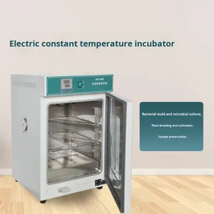 Incubadora Eléctrica de Acero Inoxidable Antibacteriana Yirui DHP500, 1 Temperatura, Control de Humedad 5-8% RH, 1000W, para Laboratorio - Product Image 2