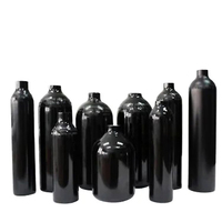 Aventurier Games Alizee – Accessoires de paintball de qualité supérieure : Régulateur de réservoir de gaz industriel en aluminium, diamètre 184 mm, 10 kg