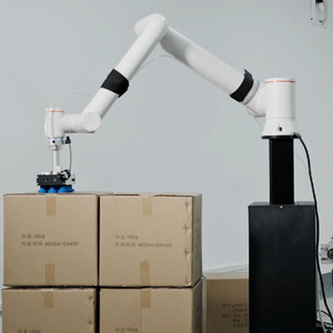 Palletizing Robot 6 Axis Automatic With Servo Electric Drive For <b>Box</b> <b>Stacking</b> And Palletizing Applications - Product Image 2