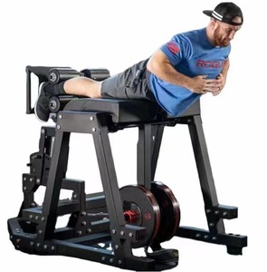 Equipo de Entrenamiento de Fuerza Muscular para Gimnasio, Hiperextensión Inversa - Product Image 1