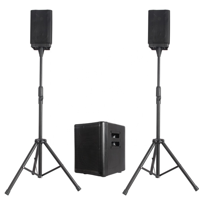 1000W 8" Subwoofer Karaoke Sets Powered 2.1 Channel TWS Indoor Party Loudspeaker DJ/PA System+Array Line  Bocina Parlante