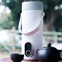 Bouilloire électrique rechargeable à piles, capacité 350 ml, en acier inoxydable, écologique, avec affichage numérique LED, pour l'extérieur