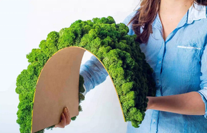 Prix bas, mousse de renne, mousse conservée, mousse stabilisée, panneau mural décoratif pour l'art mural, décoration intérieure - Product Image 4