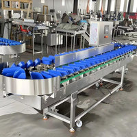 Automatische avocado- en groentegewichtsorteermachine met nauwkeurige temperatuurregeling voor fruit- en groenteverwerkingsbedrijven