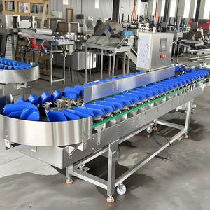 Máquina Automática de Clasificación de Peso para Aguacates y Vegetales con Control Preciso de Temperatura para Plantas de Procesamiento de Frutas y Vegetales - Product Image 5