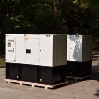 Groupe électrogène diesel industriel 60Hz 480V, type silencieux, 30KW, démarrage automatique, options de démarrage à distance avec ATS