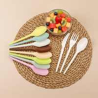 Ensemble de couverts biodégradables en PLA, sans BPA, écologiques, jetables, Greenday Custom, cuillère à café, cuillère à thé, couteau, fourchette, cuillère