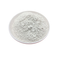 Poudre d'argile blanchissante activée de qualité alimentaire supérieure pour le raffinage de l'huile de palme, de l'huile de soja, de l'huile de colza et de l'huile d'arachide