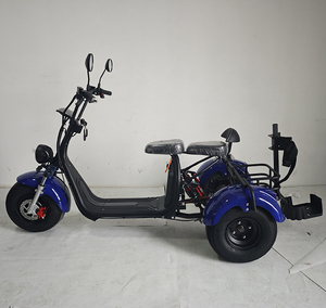 2026 3-Wheel Cargo Driewieler Gemotoriseerde Motorfiets Truck Voor Volwassenen Citycoco 2000W Elektrische Scooter 200-300Kg Laadvermogen 30-50 Km/h - Product Image 5