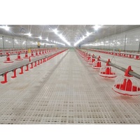 Poulet coop pour la pose ferme poulailler pour vente