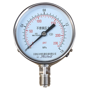 Manómetro de Presión de Acero Inoxidable Y-100BF, 1.6MPa, Tipo Radial, Presión de Agua y Aire, Material 304 - Product Image 1
