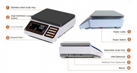 Báscula Digital Electrónica Impermeable LED ODM/OEM de Acero Inoxidable con Mesa de Pesaje de ABS y Precisión de 1g