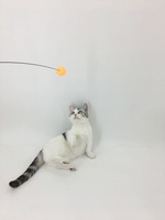 Ping-pong créatif auto-salut élastique pour animaux de compagnie chat fournitures fil d'acier longue tige plume Teaser gros chat interactif mouvement jouets