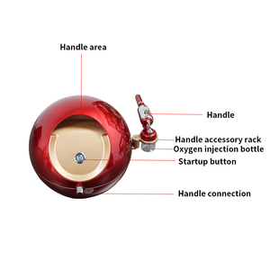 Appareil de beauté professionnel pour usage domestique - 12-en-1 Hydrodermabrasion Nano Spray Oxygène Fonction Faciale Compatible US Garantie 1 an - Product Image 2