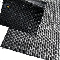 Tela Geotextil Industrial Tejida para la Construcción de Carreteras y la Estabilización del Suelo, Material PP PET, Resistente a Desgarros y Ecológico