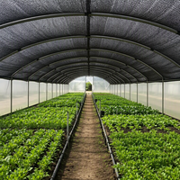 Filet d'ombrage monofilament noir robuste sur mesure en PEHD 100% vierge anti-UV pour agriculture, horticulture et serres