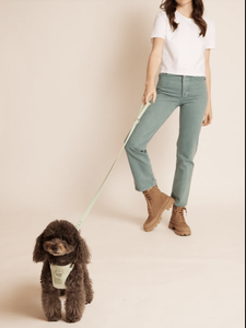 Hot Bán Nhà Máy Bán Buôn Biểu Tượng Tùy Chỉnh PVC Con Chó Cổ Áo Và Dây Xích Khai Thác Thiết Lập, Mềm PVC Săn Bắn Chó Cổ Áo Không Thấm Nước Dây Xích - Product Image 5