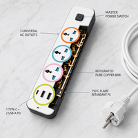 Multiprise universelle 2m 110-250V de haute qualité avec 3 prises, résistance au feu et 2 ports USB, personnalisable en usine
