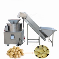Nieuwe Automatische Kunstmatige Effect Groenteschiller Voor Mango Olijf Aardappel Taro Zoete Aardappel Fruit Schilgereedschap
