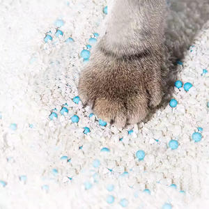 Litière pour chat en tapioca à forte agglomération, sans odeur, sans poussière, biodégradable, écologique, non collante, pour chatons - Product Image 6