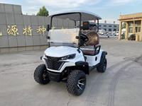 Voiturette de golf électrique haut de gamme, design de luxe, personnalisable (OEM), 2 à 8 places, pour l'extérieur, accessoires de golf adaptés aux terrains de golf et aux villas