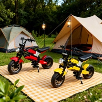 1000W 10 Inch Steel Tube 48v Hydraulic Disc Brake System Electric City Coco Scooter Motorcycle up to 70km/h