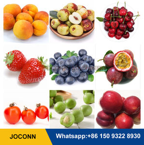 Avocat myrtille machine <span class=keywords><strong>de</strong></span> tri tomate fraise machine <span class=keywords><strong>de</strong></span> tri jujube agrumes framboise machine <span class=keywords><strong>de</strong></span> classement - Product Image 6