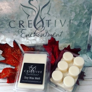 2021 New Design Creative On Sale 24 Cavity Candle Packaging Plastic clamshell Box Melt Clamshell Mold wax melt packaging