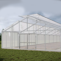 Invernaderos Agrícolas de Bajo Costo, Estructura de Acero Prefabricada, Nave para Cría de Ganado