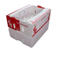 Boîtes d'expédition pliables en PP ondulé écologiques personnalisées pour fruits et légumes, idéales pour bananes, pommes et emballages cadeaux