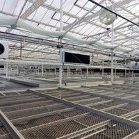 Serre en verre automatique à toit en dents de scie de type Venlo