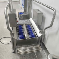Machine de nettoyage automatique de semelles haute performance avec rouleaux brosse doubles, passage bidirectionnel et activation par capteur