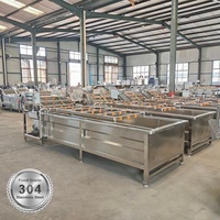 Automatische groente- en fruitwasmachine voor mango's, aardappelen en landbouwproductenfabrieken