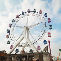 Grande roue populaire de 30m pour les promenades en plein air dans les parcs d'aventure avec conception et support d'installation à vendre