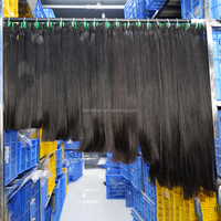 Extensions de Cheveux Humains Brésiliens 100% Naturels Grade A, Remy, 40, 50, 60 Pouces de Long, Cheveux Vierges Alignés, Vente en Gros à Prix Abordable