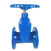 Vanne de contrôle hydraulique en acier forgé, flantée, 6 pouces, accroche sur porte d'eau, 1 pièce